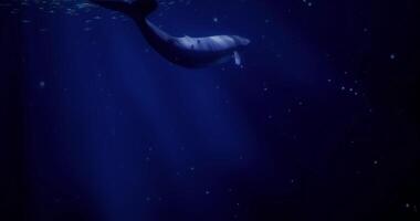 CGI Majestic whale gliding through deep ocean waters in tranquil environment video