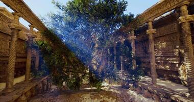 CGI Ancient temple courtyard with a large tree basking in sunlight video
