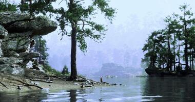 CGI Misty lakeside landscape with trees and rocks in the early morning light video