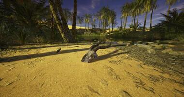 CGI Desert landscape featuring a unique creature at the waters edge during daytime video