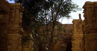 CGI Ancient temple ruins surrounded by lush green tree at sunset video