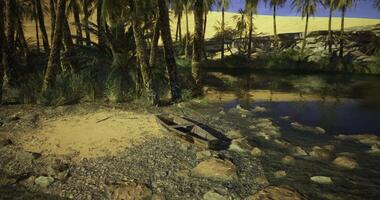 CGI Calm riverbank scene with a boat surrounded by palm trees and sandy shores video