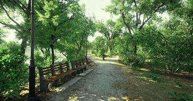 CGI Peaceful park pathway lined with benches and lush greenery in daylight video