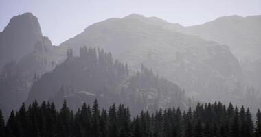 CGI Mountain view with fog and evergreen trees at sunset in the wilderness video