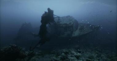 CGI Exploring a submerged shipwreck in the deep ocean during a daylight dive video