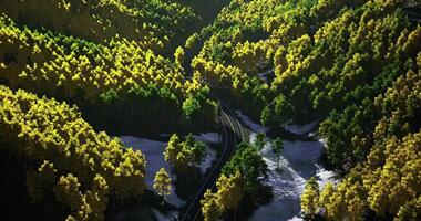 CGI Winding road through vibrant green and yellow forest with snow patches video