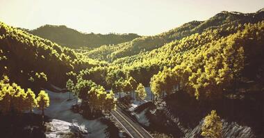 CGI Lush green forest landscape with railway under sunlight at dawn video