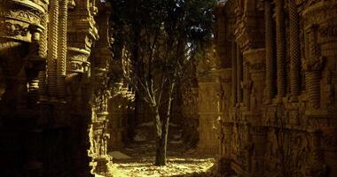 CGI Ancient ruins surrounded by majestic trees in a golden light setting video