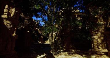 CGI Ancient temple ruins surrounded by lush greenery during sunlight hours video