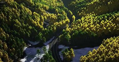 CGI Scenic winding road through vibrant green and golden forests during daylight video