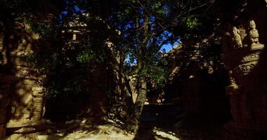 CGI Exploring ancient stone ruins with carved pillars and lush greenery video