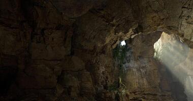 CGI Mysterious cave illuminated by sunlight with lush greenery video
