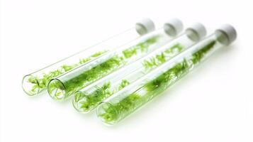 Test Tubes Featuring Vibrant Green Plants Against a Pure White Background photo