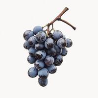 Lush green grape cluster elegantly displayed on crisp white backdrop photo