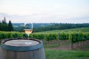 Wooden Barrel Holding Delicious Red Wine Glass with Grape Vineyards photo