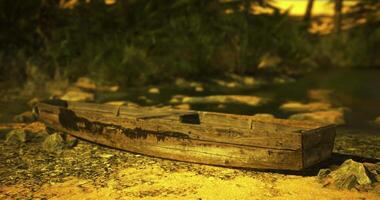 CGI Old wooden boat resting on shore surrounded by lush greenery and sunlight video