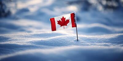 Small Canadian Flag Standing Proudly in a Blanket of Fresh Snow photo