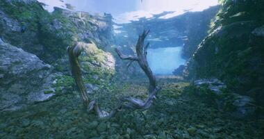 CGI Underwater view showcasing rocky terrain and driftwood in a serene setting video