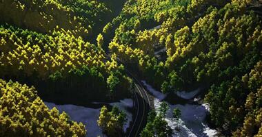 CGI Vibrant autumn forest landscape with winding road surrounded by trees video