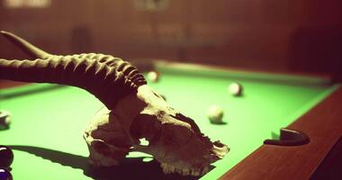 CGI Unique decor featuring a skull and pool table in a dimly lit bar setting video