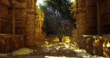 CGI Sunlight filters through ancient ruins with a tree at the center video