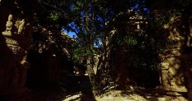 CGI Ancient ruins surrounded by trees in bright sunlight under a clear sky video
