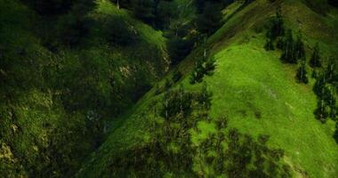 CGI Lush green valley with trees and hills in bright daylight video