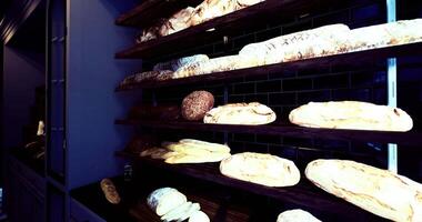 cgi bröd på visa i en bageri affär med olika typer och texturer video