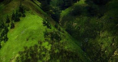 CGI Lush green landscape with valleys and trees in a serene natural setting video