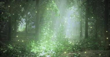 CGI Mystical forest illuminated by ethereal light and swirling green vines video