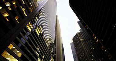 CGI Skyscrapers reflect light in an urban setting at dusk video