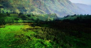 CGI Lush green valley with rolling hills under clear blue sky in daytime video