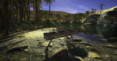 CGI Desert oasis with a wooden trough surrounded by palm trees and rocks video