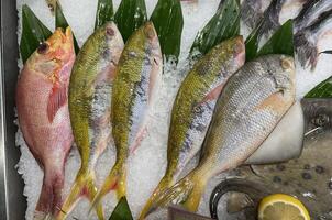 Fresh Raw Fish Fillet and Lemon Slices on Crushed Ice Display, Seafood Market Product Background for Culinary and Restaurant Use photo