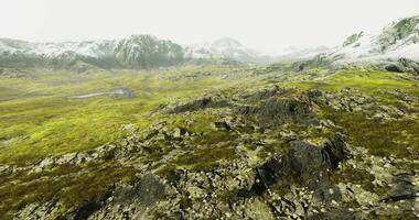 CGI Stunning landscape with rocky terrain and lush greenery in a remote area video