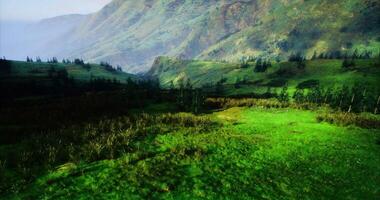 CGI Lush green landscape with hills and forest during daytime in a tranquil setting video