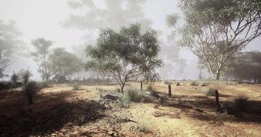 CGI A tranquil rural area features scattered trees and low brush video