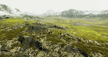 CGI Majestic mountainous landscape with lush greenery and rocky terrain in fog video