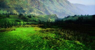 CGI Mountain landscape with lush greenery and distant hills under bright sky video