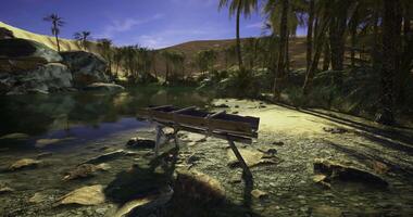 CGI Tranquil oasis with wooden water trough surrounded by palm trees and desert video