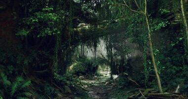 CGI Mysterious lush forest path revealing hidden wonders under soft light video