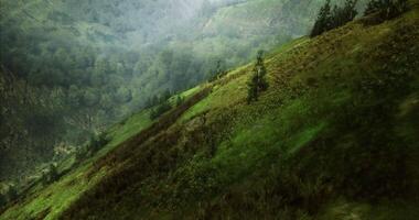CGI Lush green hills with mist over a tranquil valley at sunrise video