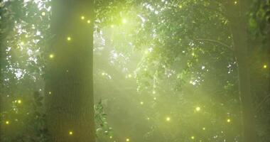 CGI Glowing fireflies illuminate a serene forest during twilight hours video