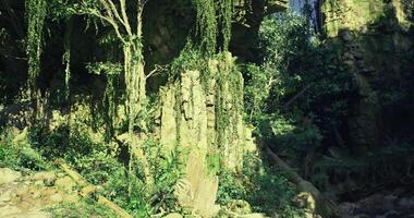 CGI Lush greenery and rock formations in a vibrant tropical setting at midday video