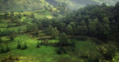 CGI Lush green valley surrounded by mountains during early morning hours video