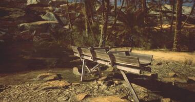 CGI Wooden cart resting on shoreline with tropical foliage in background video