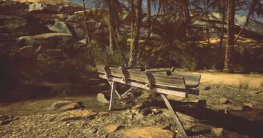 CGI Wooden water trough surrounded by rocky terrain and palm trees at noon video