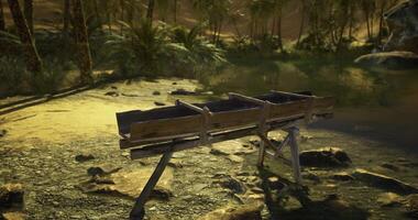 CGI Wooden trough resting by the water in a tranquil natural setting video