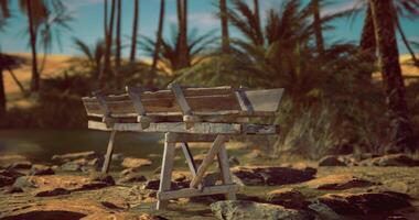 CGI Wooden bench near a tranquil water body surrounded by palms at sunset video