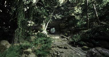 CGI Vibrant forest path leading to a mysterious cave entrance in lush greenery video